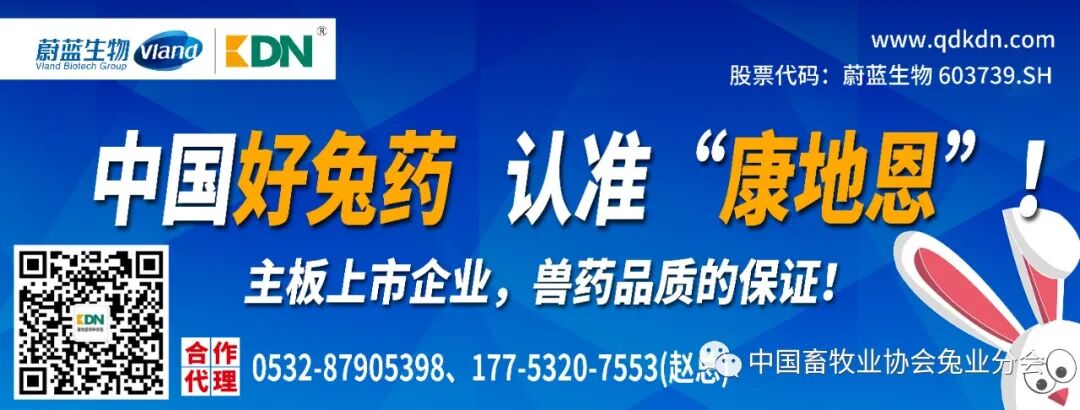 兔产品价格指数分析_2026獭兔养殖行情_2023年8月兔产业发展指数