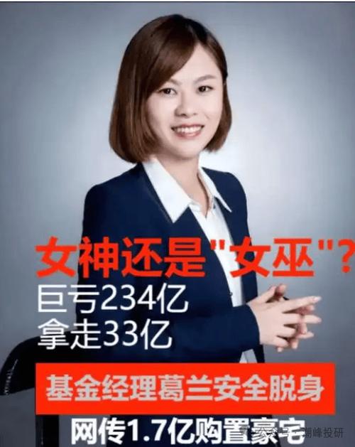 基金风格漂移诉讼_牛市基金经理_基民起诉基金经理法律风险