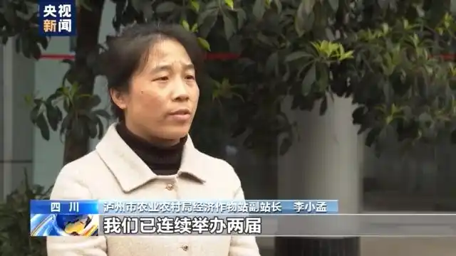 春茶形势_春季茶叶采摘_四川邻水春茶采摘