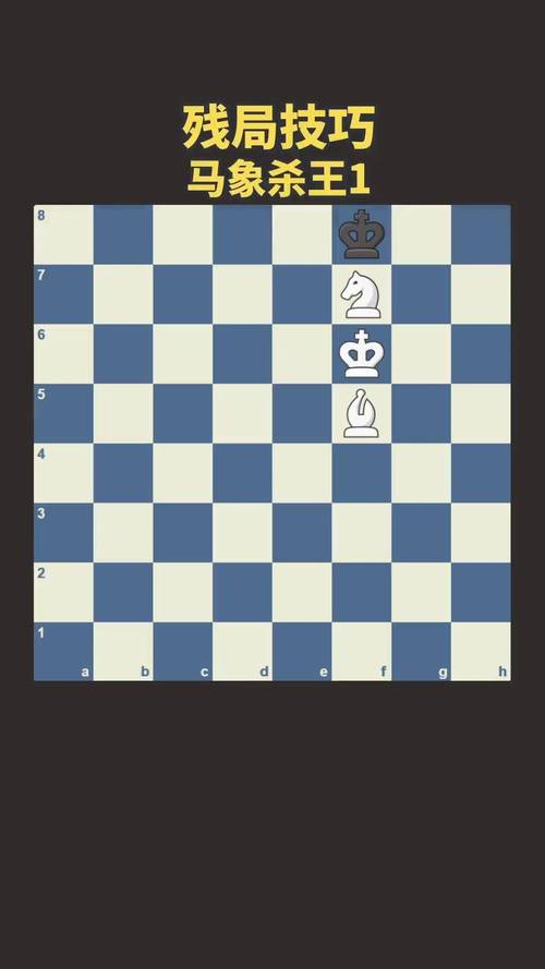 如何理解国际象棋的布局、中局、残局？