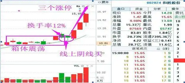 财报分析坚持_长期投资回报_主力建仓阴线 公式