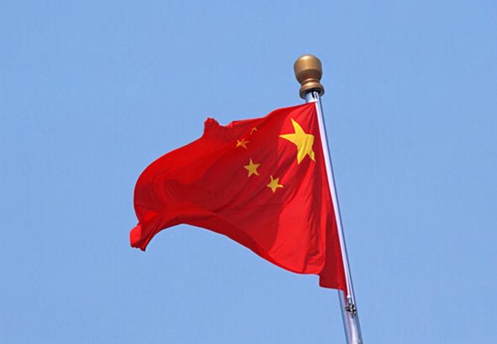 外交政策类型比较_大国关系的变动与发展态势_外交政策课件分析