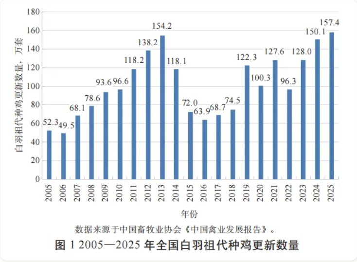 2026肉鸡行情预警：产能过剩价格跌，养殖户如何应对？