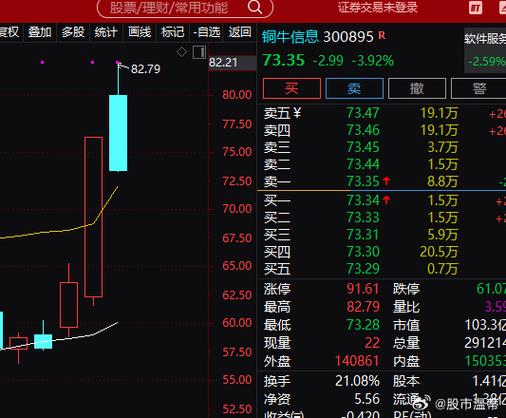 尾盘选股简单绝技_尾盘选股法_一夜持股法