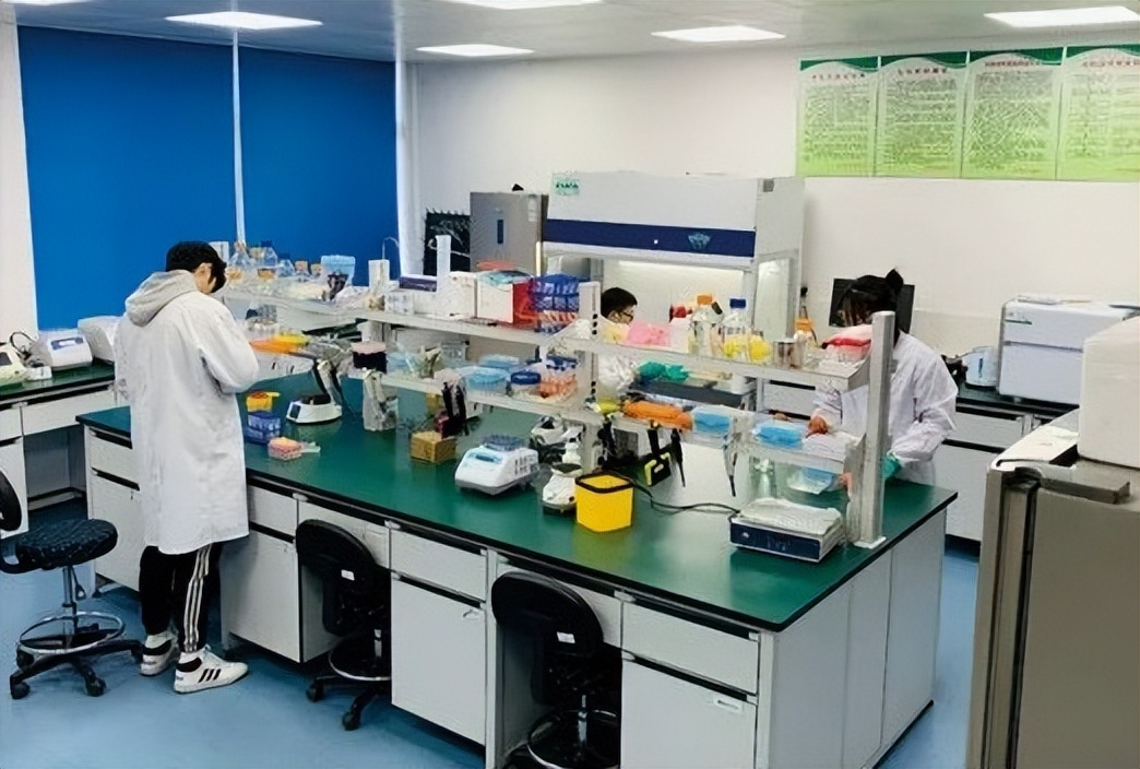 湖南农业大学就业率稳定_农学专业就业形势_湖南农业大学就业率分析