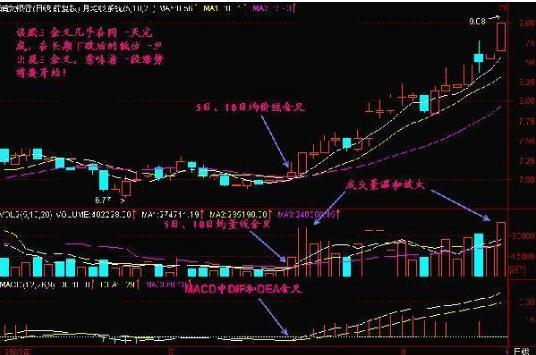 MACD零轴上方金叉应用_MACD指标金叉买入信号_周线老鸭头出水芙蓉