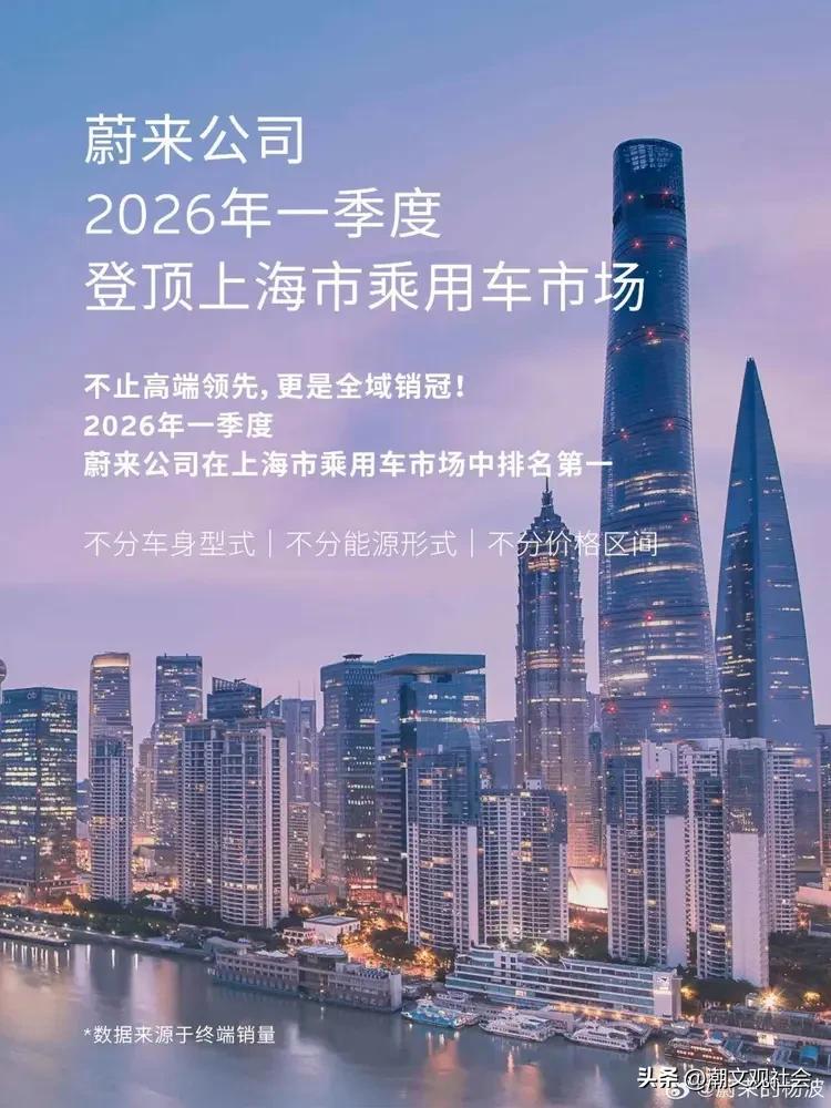 2026年中国消费者趋势_燃油车销量下滑原因_燃油车市场趋势